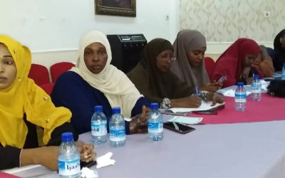 SUNSCSA kicks off pilot project in Somalia